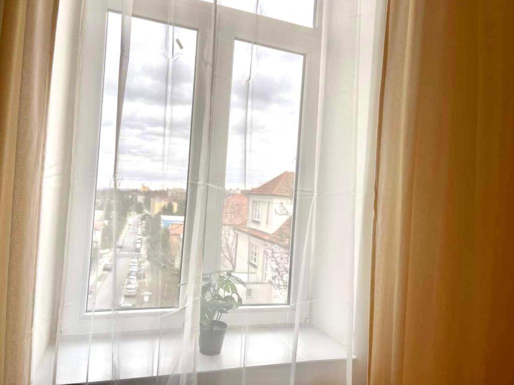 Apartman Vinohrady 브르노 외부 사진
